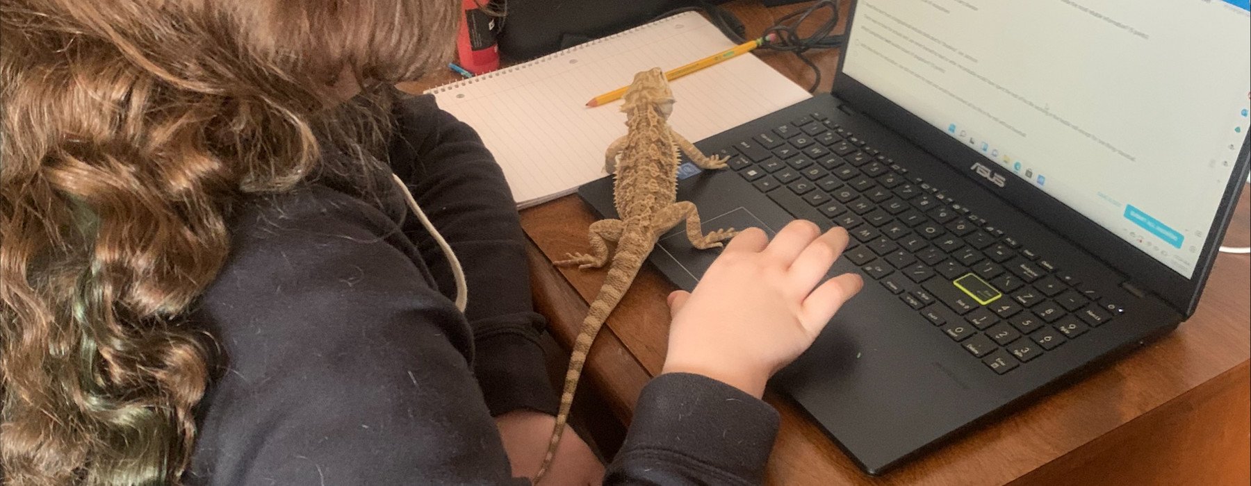 student at computer